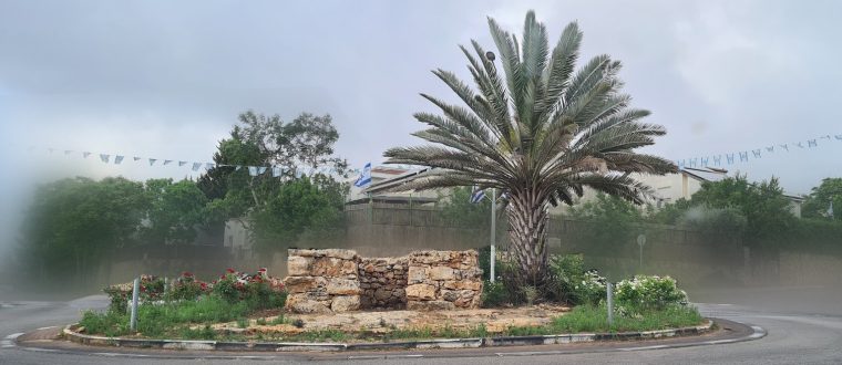 תכנון עירוני ונופי – טל מנשה